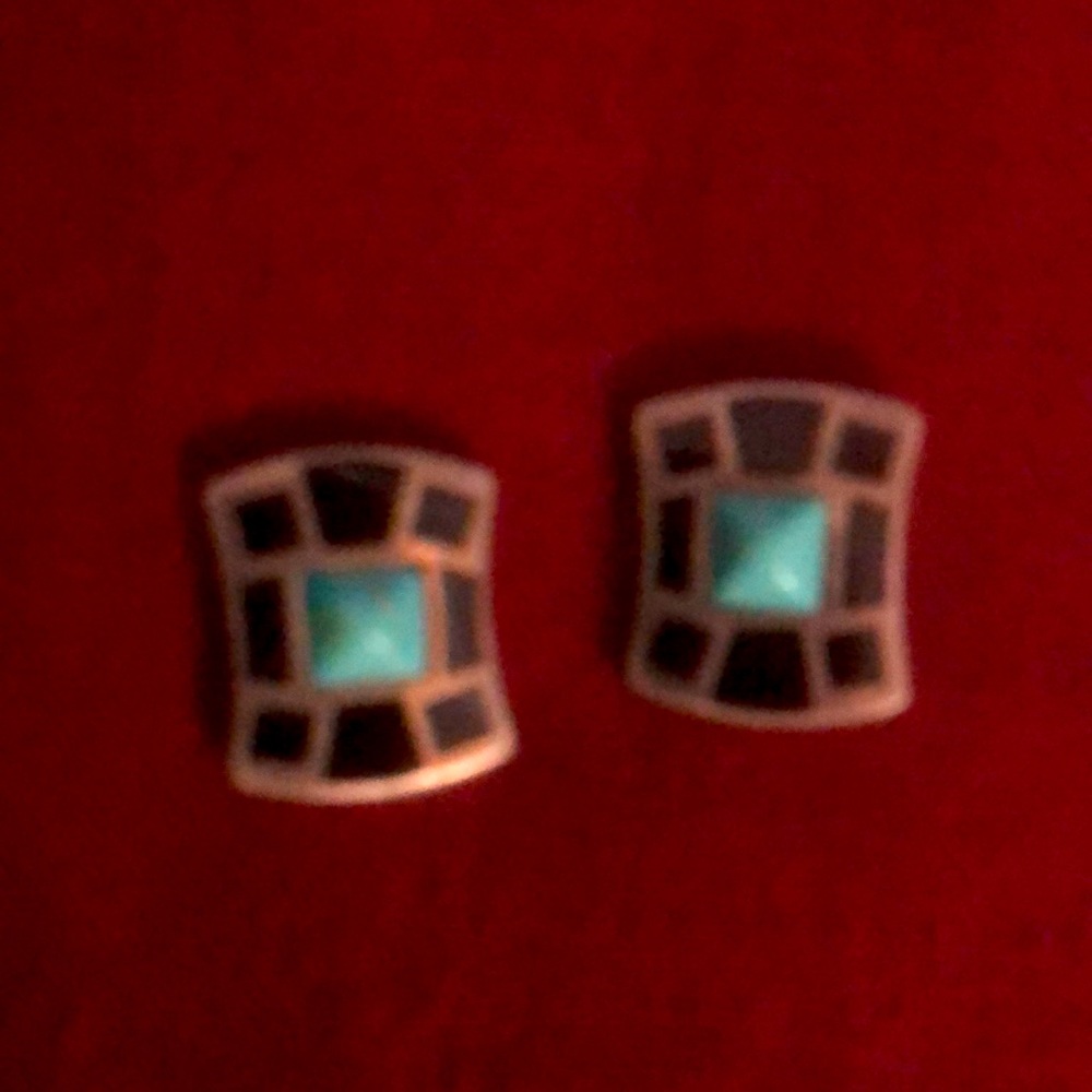 Turquoise earrings with a beautiful onyx border